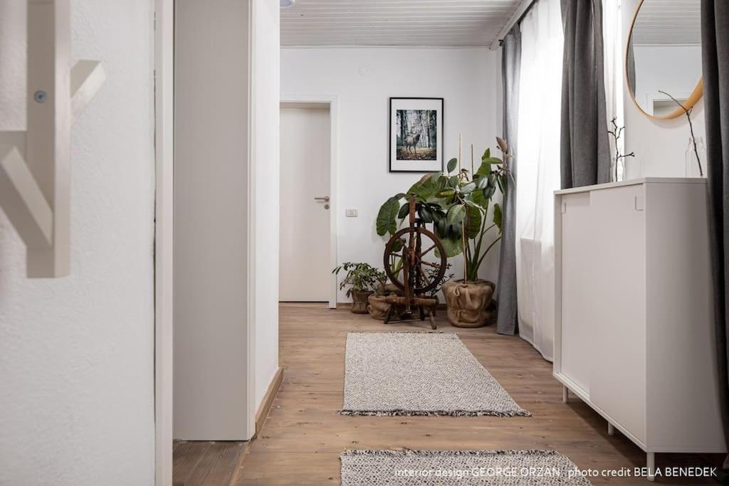 Casa269B - Cozy House With Scandinavian Design Moieciu de Jos Ngoại thất bức ảnh