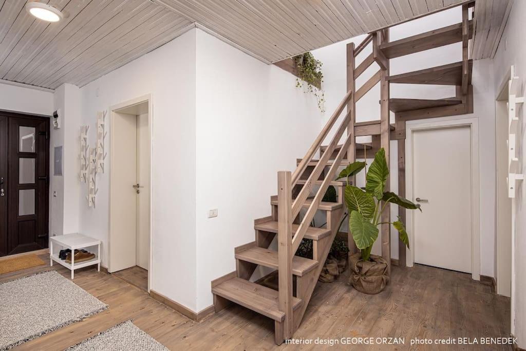 Casa269B - Cozy House With Scandinavian Design Moieciu de Jos Ngoại thất bức ảnh