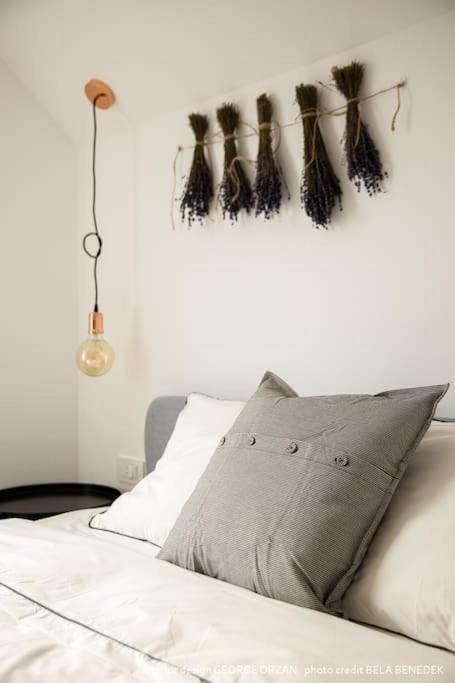 Casa269B - Cozy House With Scandinavian Design Moieciu de Jos Ngoại thất bức ảnh