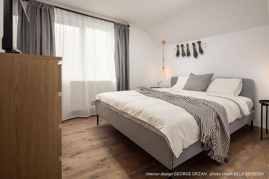 Casa269B - Cozy House With Scandinavian Design Moieciu de Jos Ngoại thất bức ảnh